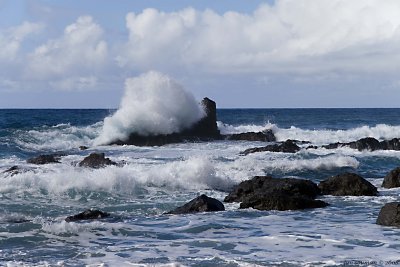 Ocean