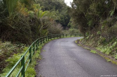 Road
