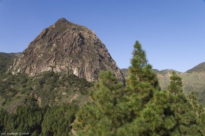Roque de Ojila
