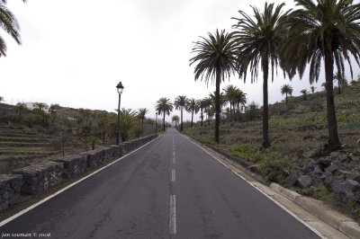 Street