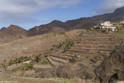 Terraces Alojera