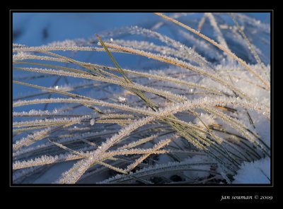 Ice Crystals