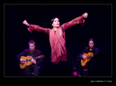 Flamenco