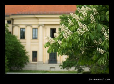 Hofgarten