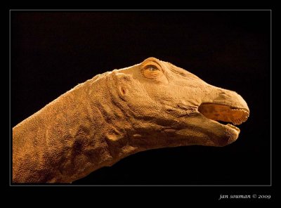 Dinosaur