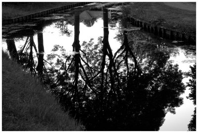 Reflections