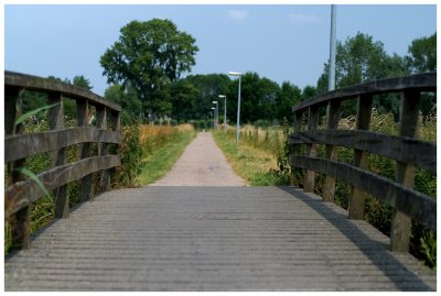 Bike Path