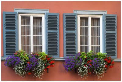 Windows