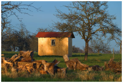 Little House