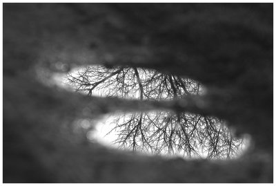 Reflections