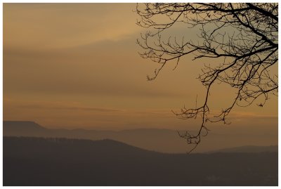 Silhouettes