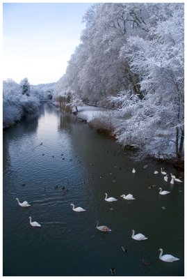 Neckar