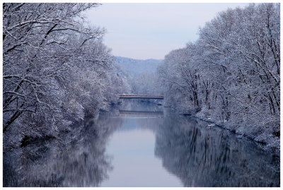 Winter Scene