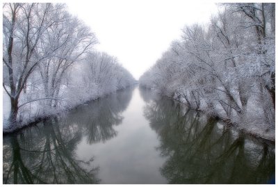 Winter Scene