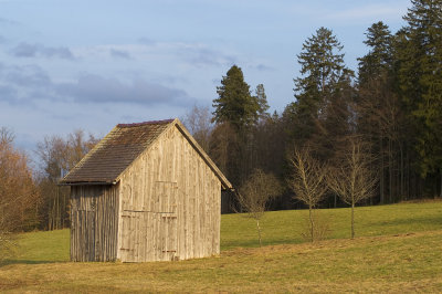 Shed