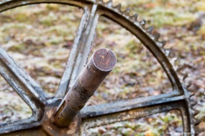 Sprocket