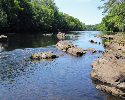 Lower Saluda River 