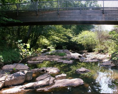 Rawl's Creek