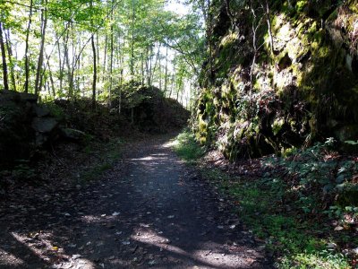 Along the Lower Trail