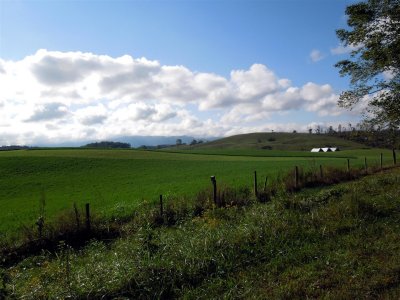 Along the Lower Trail