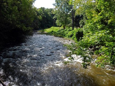Beaver Dam Creek at the end of the Upper Trail