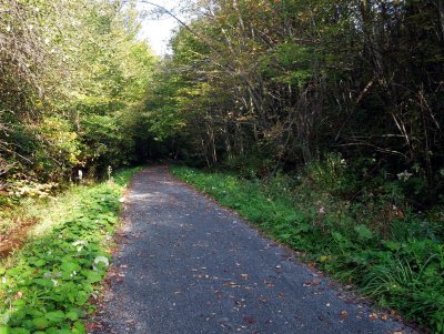 Along the Upper Trail