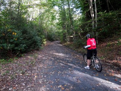 Along the Upper Trail