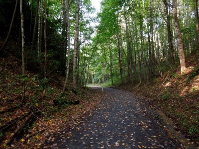Along the Upper Trail