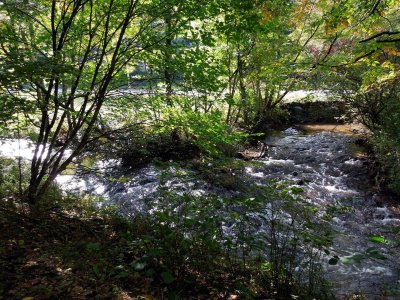 Creeks merging along the Trail