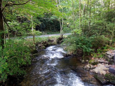 Beautiful stream along the Trail