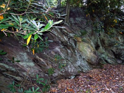 Rock walls Along the Upper Trail