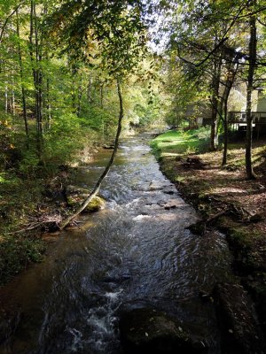 Beautiful stream along the Trail