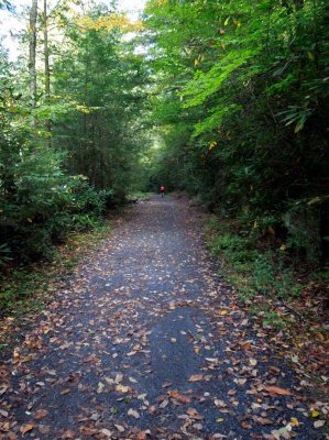 Along the Upper Trail