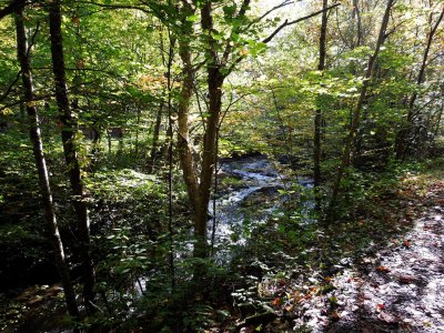 Beautiful stream along the Trail
