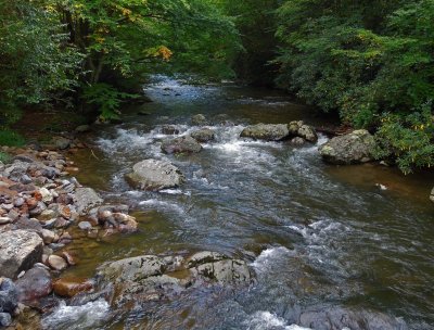 Beautiful stream along the Trail