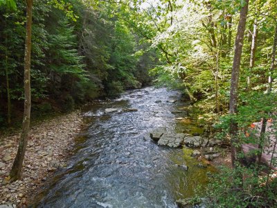 Beautiful stream along the Trail