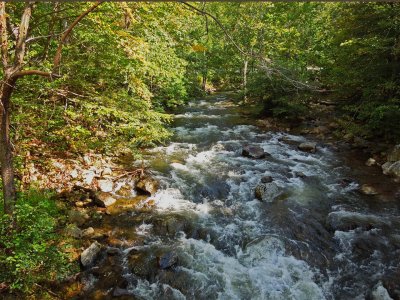 Beautiful stream along the Trail