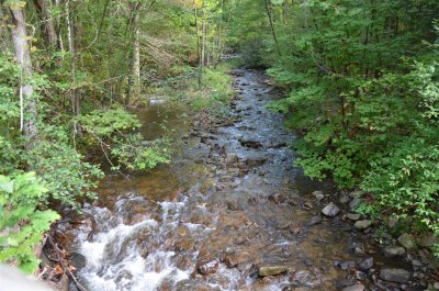 Beaver Dam Creek at the end of the Upper Trail