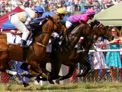 Carolina Cup Horses '06