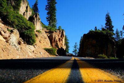 Entrance to Sonora Pass