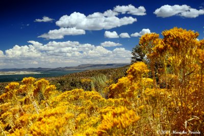 Mono Lake II