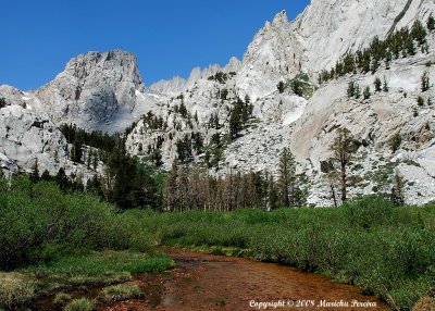 Big Horn Sheep Park