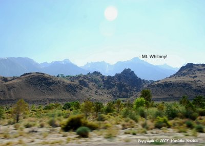 driving Hwy 395