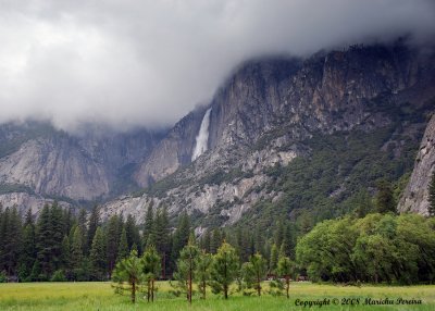 foggy Yosemite Falls