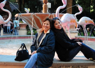 Fountain Beauties, Flamingo Las Vegas