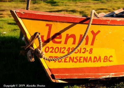 Jenny