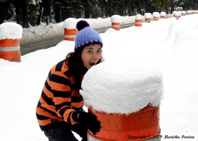 Got Snowcone?