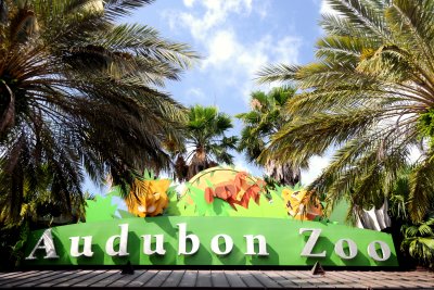 audobon_zoo