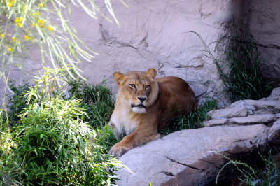 g1/58/844158/3/97486582.JSd2pBTR.jpg