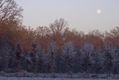 Frosty moonscape